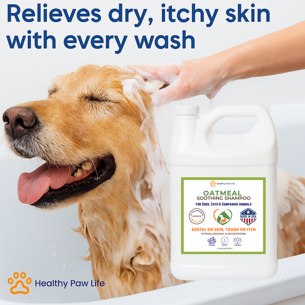 Oatmeal Shampoo – Vet-Recommended Itch Relief for Dogs, Cats & Horses – Hypoallergenic, Moisturizing & Deodorizing – 1 Gallon – Made in USA-1
