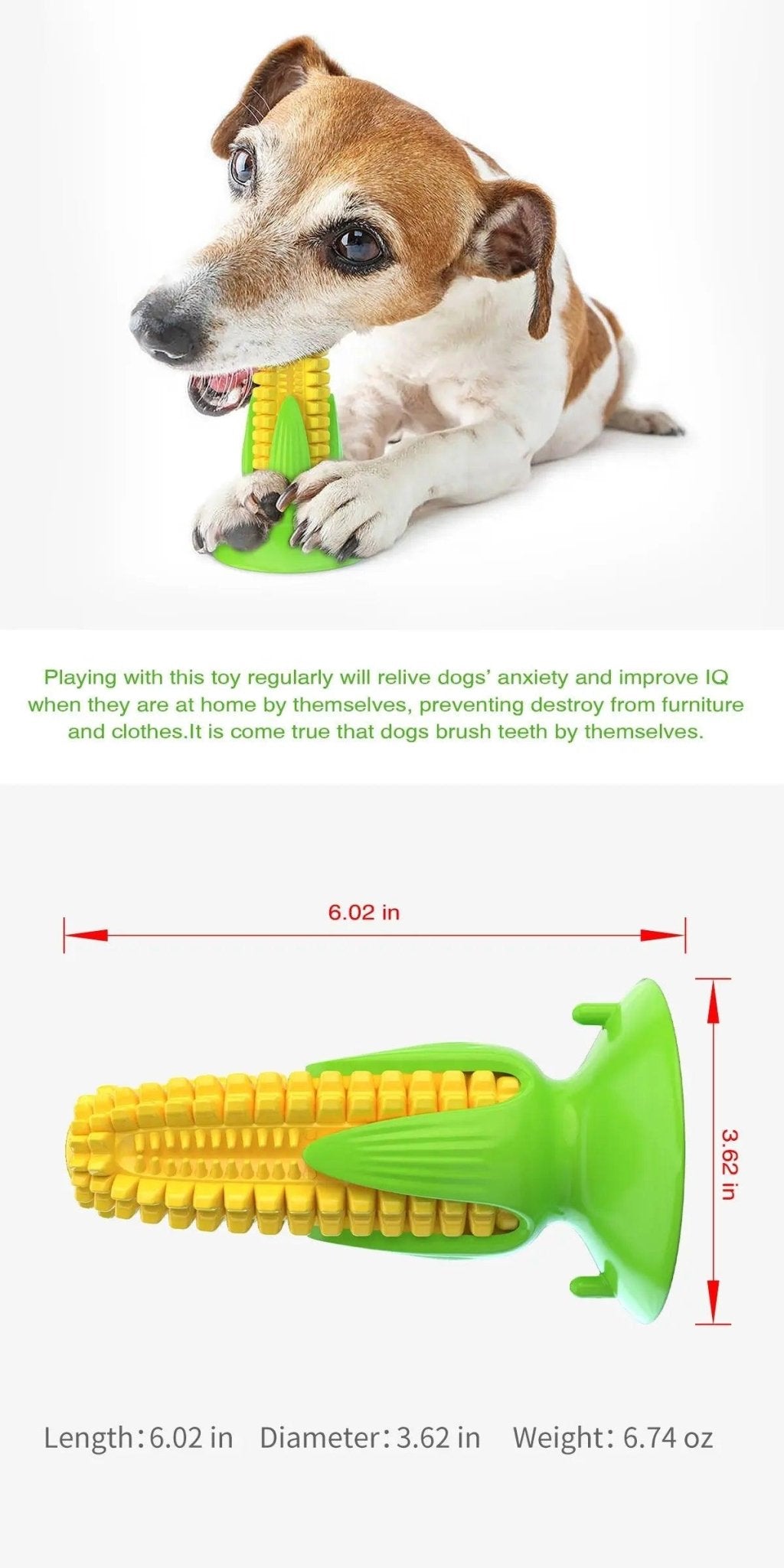 Pet Master Rubber Chew Dog Toy-4