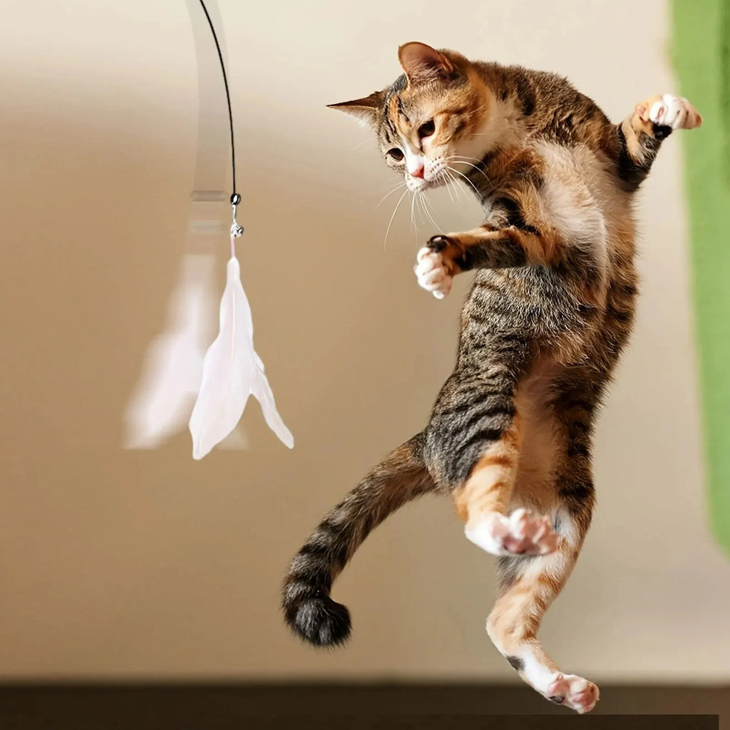 Brinquedo Interativo para Gato - Vara com Penas e Sino - Diversão Garantida para o Teu Gato